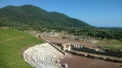 11912934_1127681057259601_1874506768_n